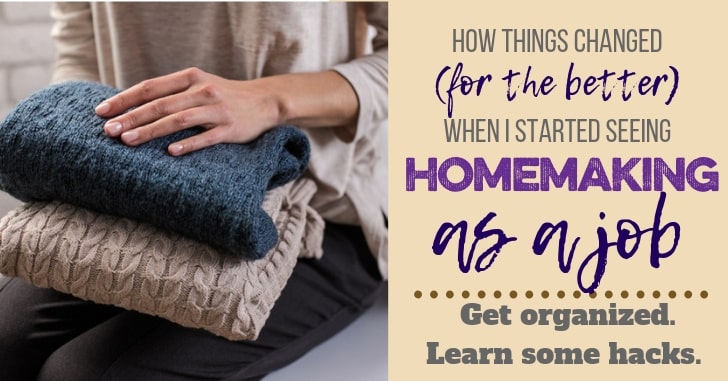 Treating Homemaking as a Job: Getting help and training