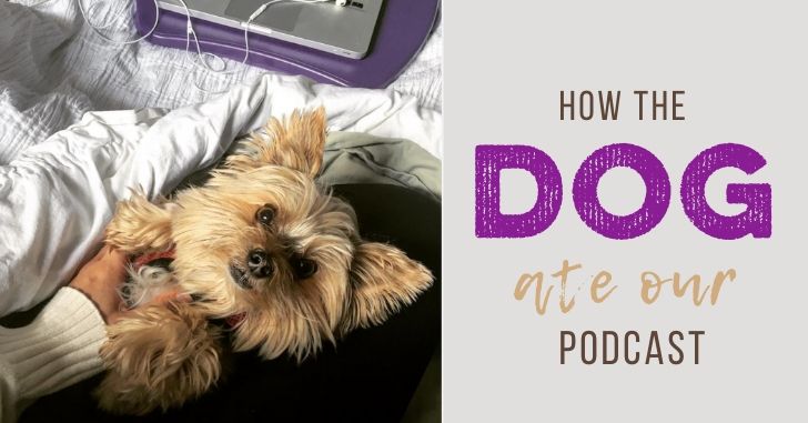 Dog Ate our Podcast