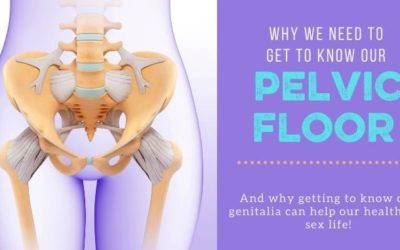 Why Exploring Your Pelvic Floor (and Genitalia!) is Crucial to Your Health and Your Sex Life