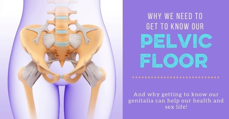 Getting to Know our Pelvic Floor and Genitalia