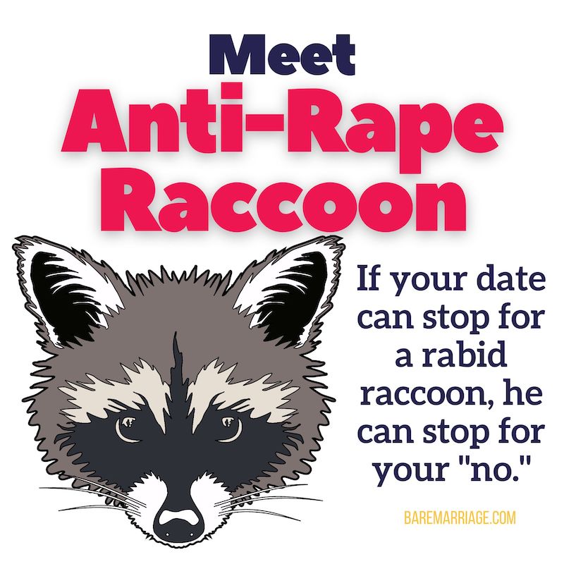 Anti Rape Raccoon Merch