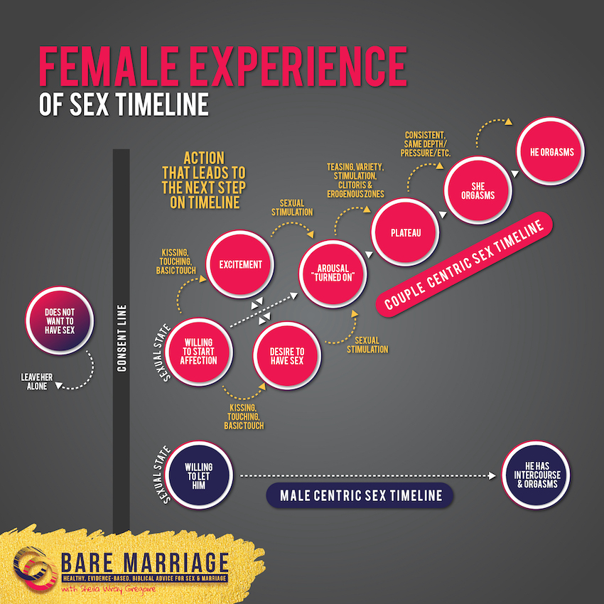 Two versions of the sexual response cycle
