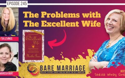 PODCAST: The Problems with The Excellent Wife by Martha Peace