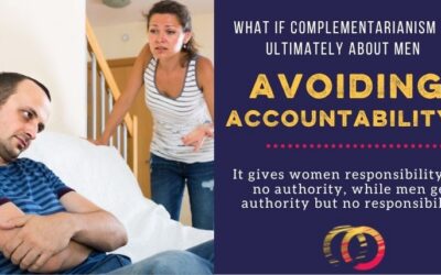 What if the Aim of Complementarianism is the Lack of Accountability for Men?